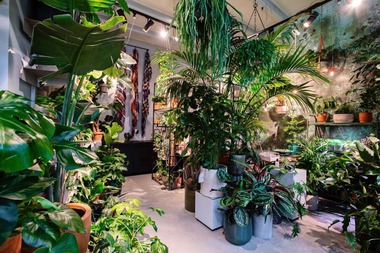 אוטרכט Daen'S Greenhouse מראה חיצוני תמונה